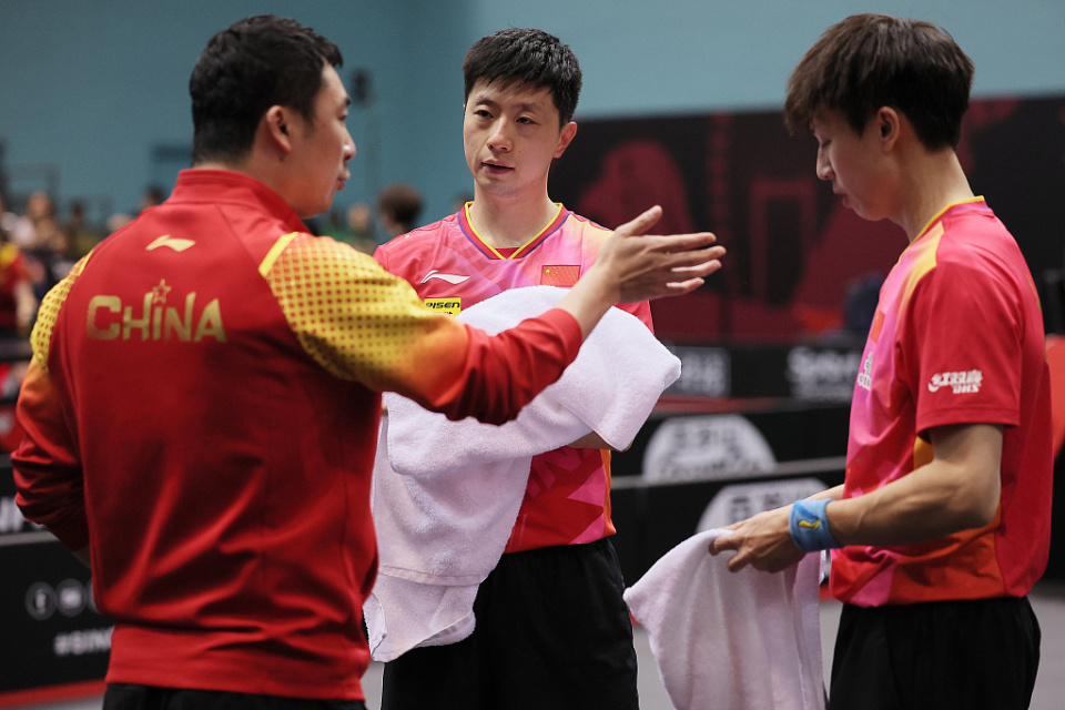 关于瑞典乒乓球队绝地反击比利时乒乓球队，马龙统治全场的信息