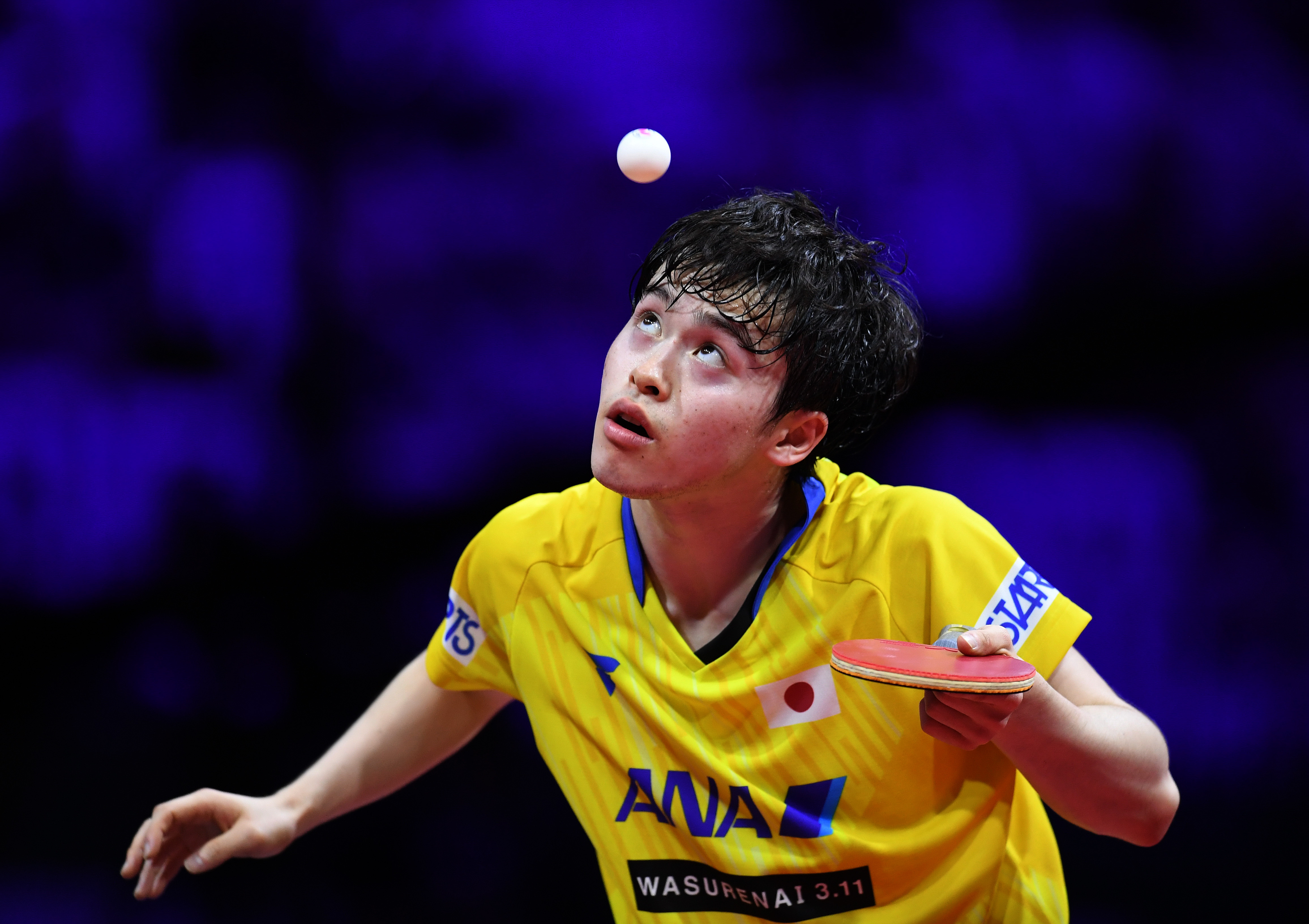 英国乒乓球队横扫比利时乒乓球队，波尔惊艳世界的简单介绍