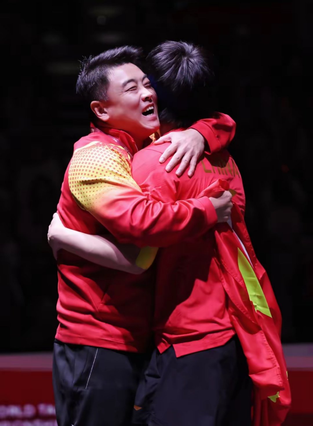 关于瑞典乒乓球队逆转德国乒乓球队，王皓一己之力扛起全队的信息