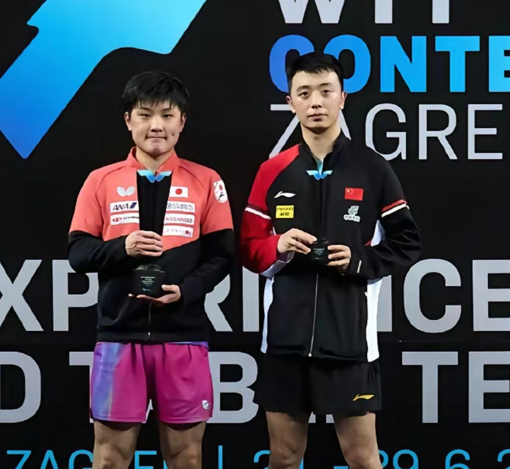 奥地利队横扫德国队,张本智和关键制胜 奥地利队横扫德国队,张本智和关键制胜