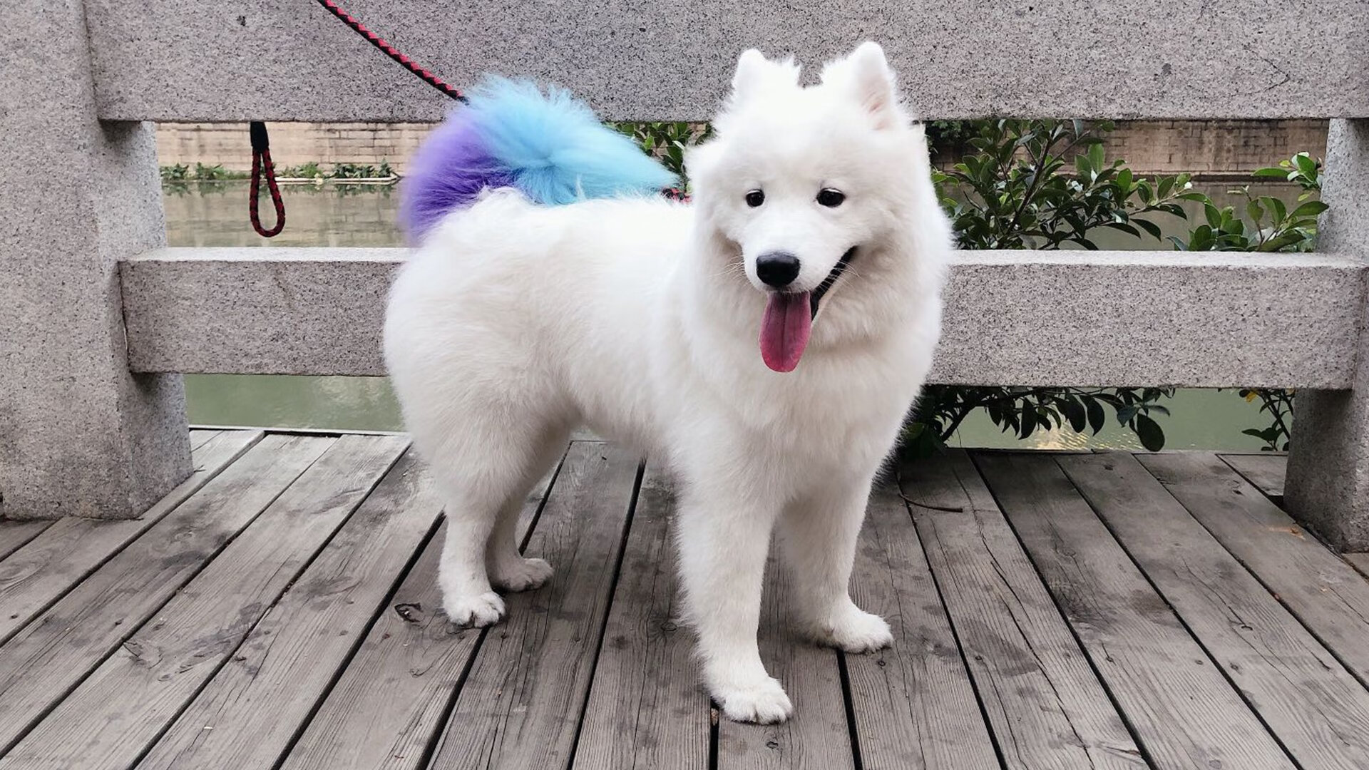 姆巴佩撕裂防线,塞内加尔筑起叹息之墙,乌拉圭巨星黯然退场