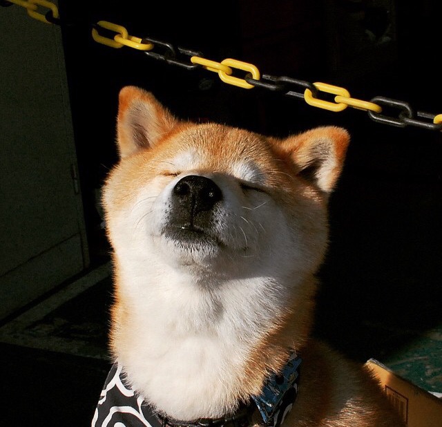 欧冠奇景,莱比锡红牛末节发力,南美劲旅厄瓜多尔竟成焦点?