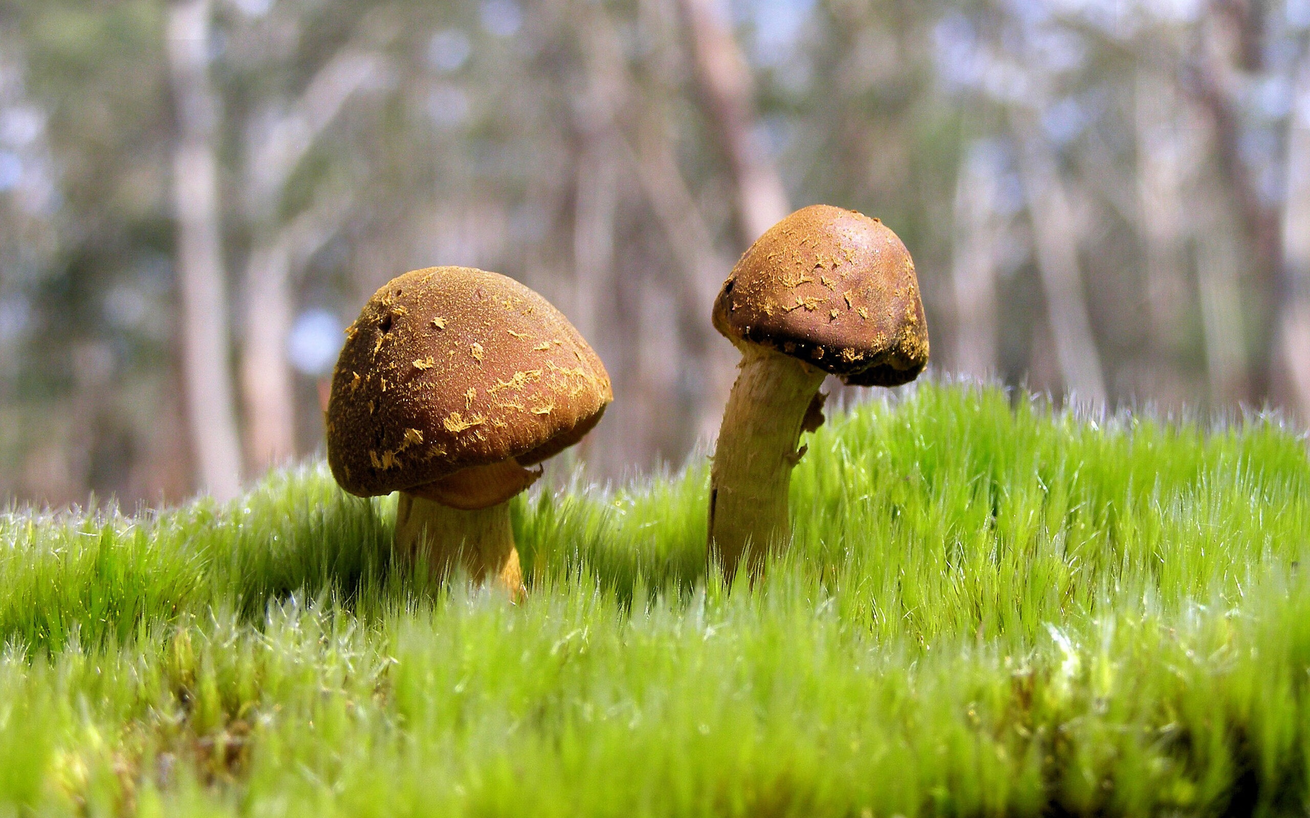 致命转换者,乔治如何用防守点燃西决生死战的进攻火焰