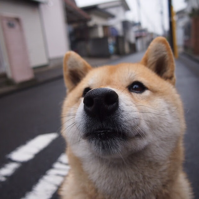 从巴黎到伊斯坦布尔,当赖斯成为曼联的欧冠之钥