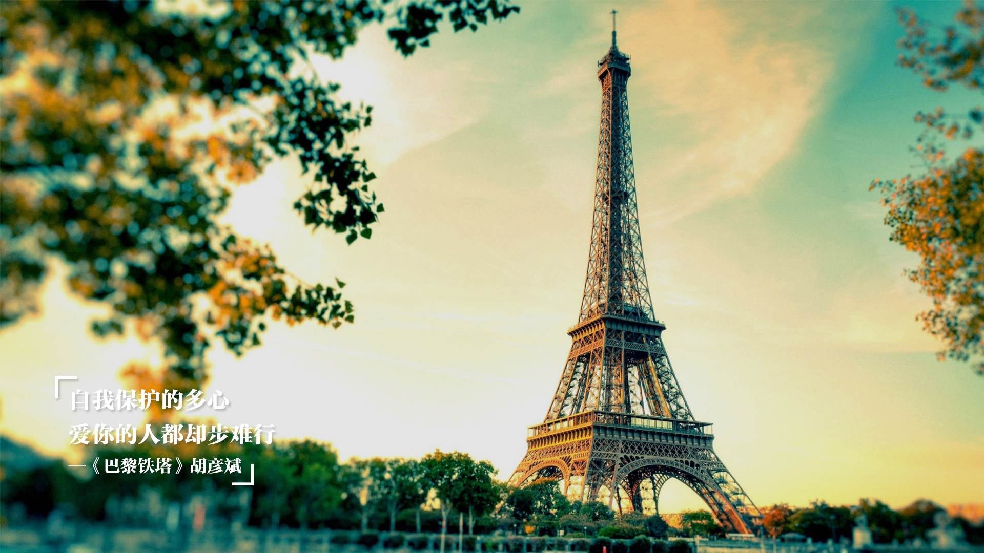 双城记,库里三分如雨定乾坤,步行者铁蹄踏碎黄蜂梦