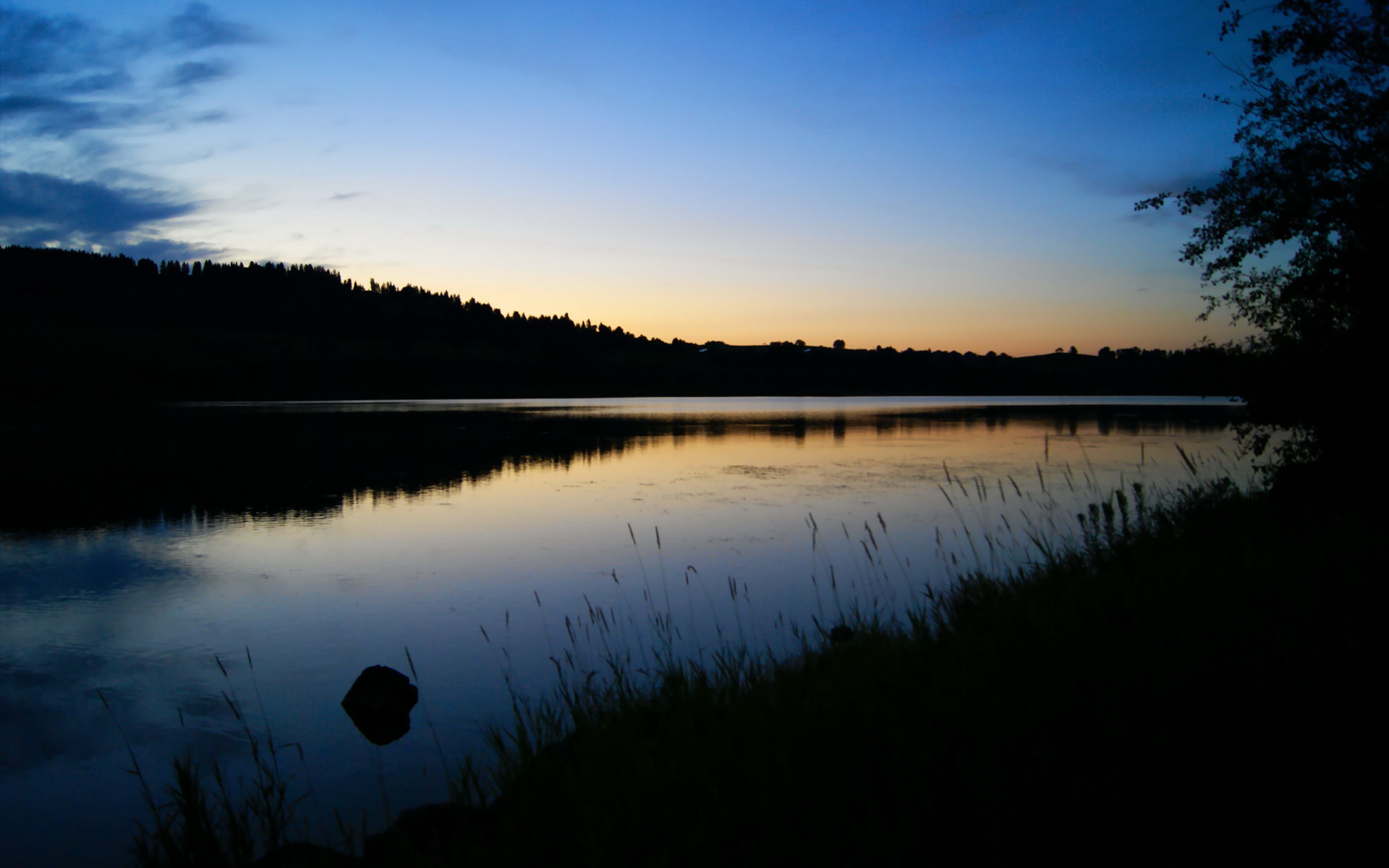 双重焦点，当德甲冠军的呐喊淹没在五棵松的绝杀回响中