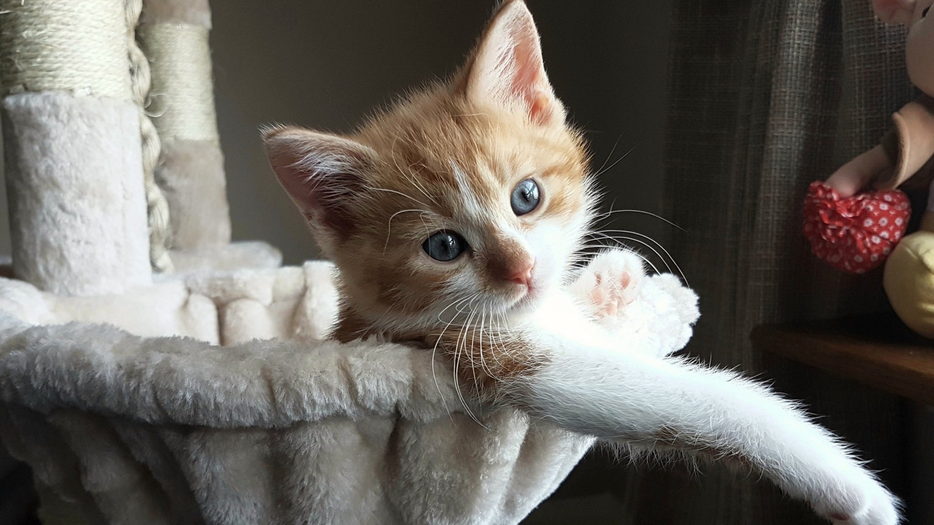 逆风翻盘！阿什拉夫任意球+点球建功，卡塔尔3-2逆转牙买加捍卫主场