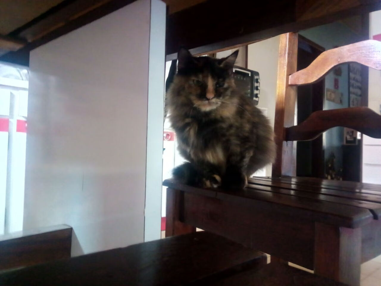 从被低估到一锤定音，加维如何成为斯坦福桥的新信仰