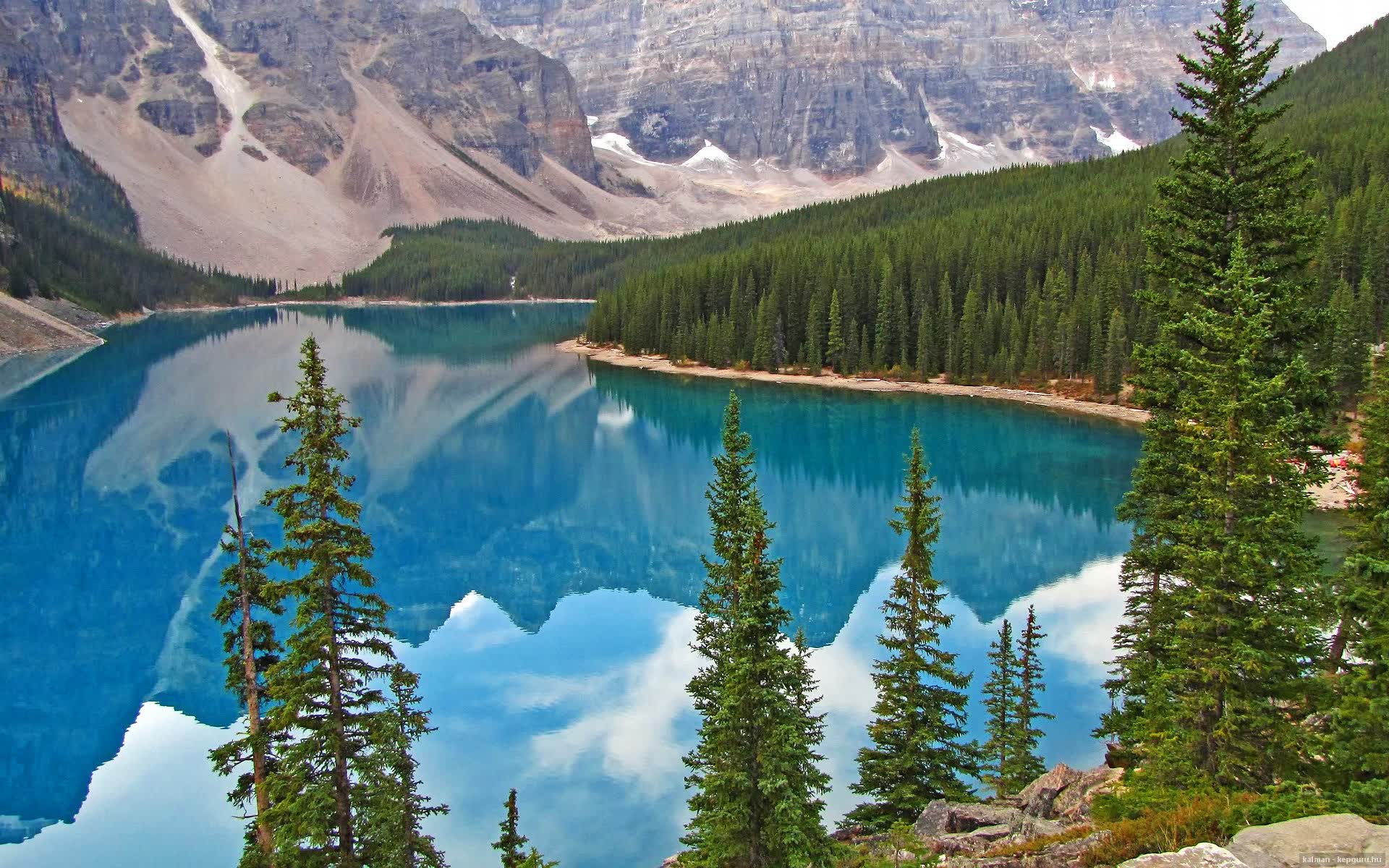郁金香之殇，2026世界杯D组，葡萄牙用一场攻守博弈的完美风暴，逆转了荷兰的青春野望