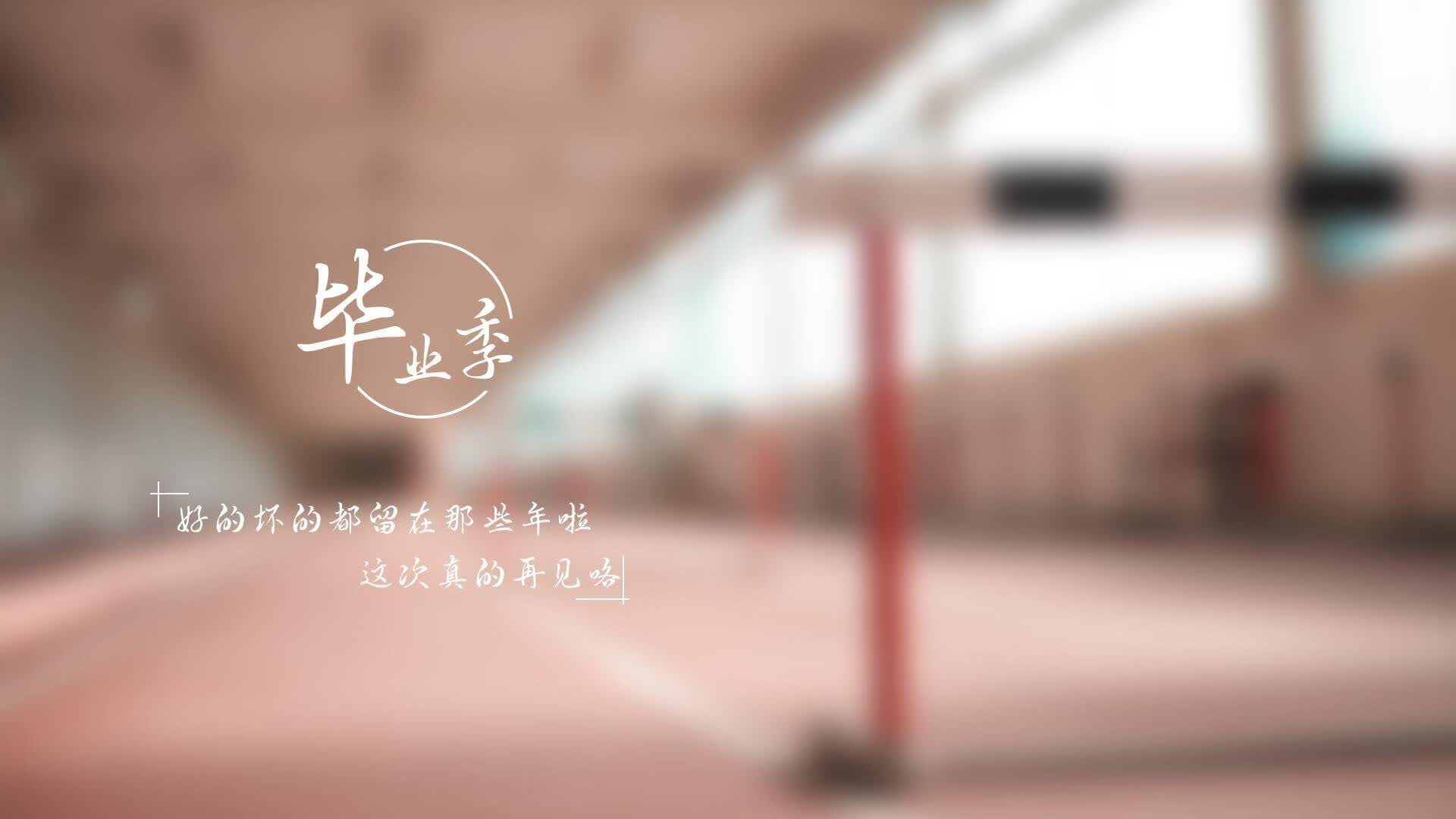 绝杀之夜，战术之巅，2026世界杯E组加纳2-1波兰，努涅斯光芒下的奇迹逆转